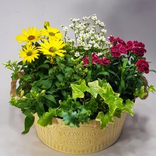 Anya virágoskertje - virágzó összeültetés fémtálban