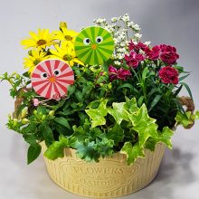 Anya virágoskertje - virágzó összeültetés fémtálban