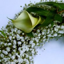 Görögkoszorú rezgővel kálákkal