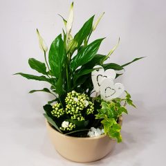 Oázis - hármas összeültetés