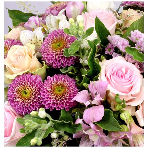 Oh, Júlia - romanikus nyári csokor