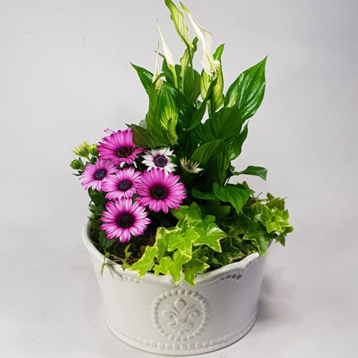 Titkos kert - virágösszeültetés