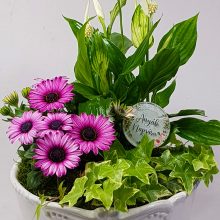 Titkos kert - virágösszeültetés