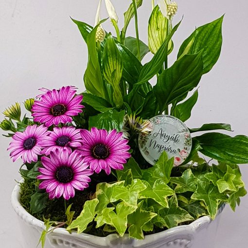 Titkos kert - virágösszeültetés