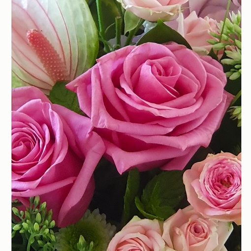 Virágbox pink rózsákkal és hortenziával