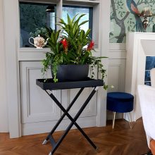 Óriás növényösszeültetés 