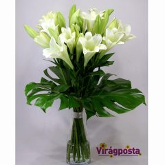 Tiszta elegancia