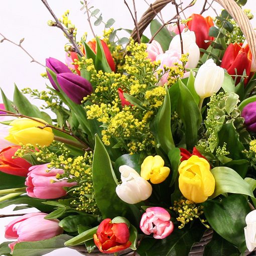 Virágkosár színes tulipánokkal